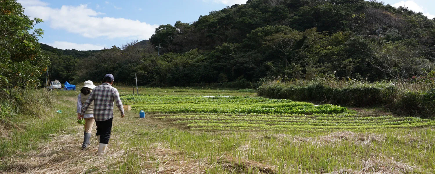 奥の木場の畑を歩くご夫婦